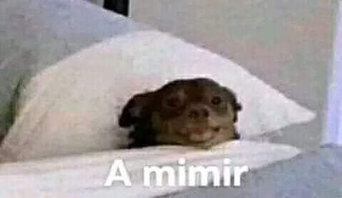 librapagee's tweet image. Nadie:

Yo cuando veo algo que me da celos: