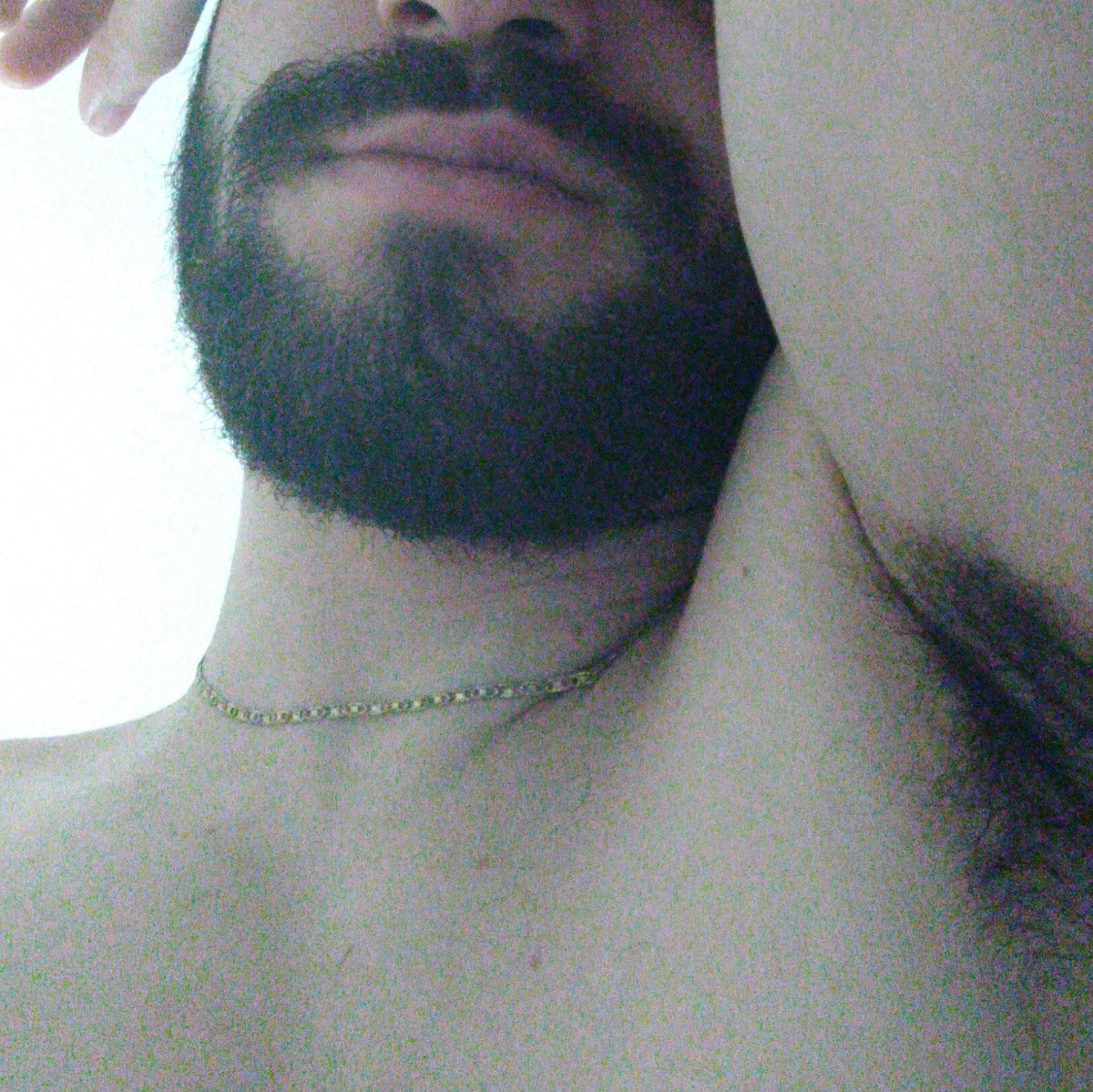 bugsbunny_sp's tweet photo. Barba e sovaco 🔥 #barbados #beardchallenge https://t.co/6m7L7aTWpf