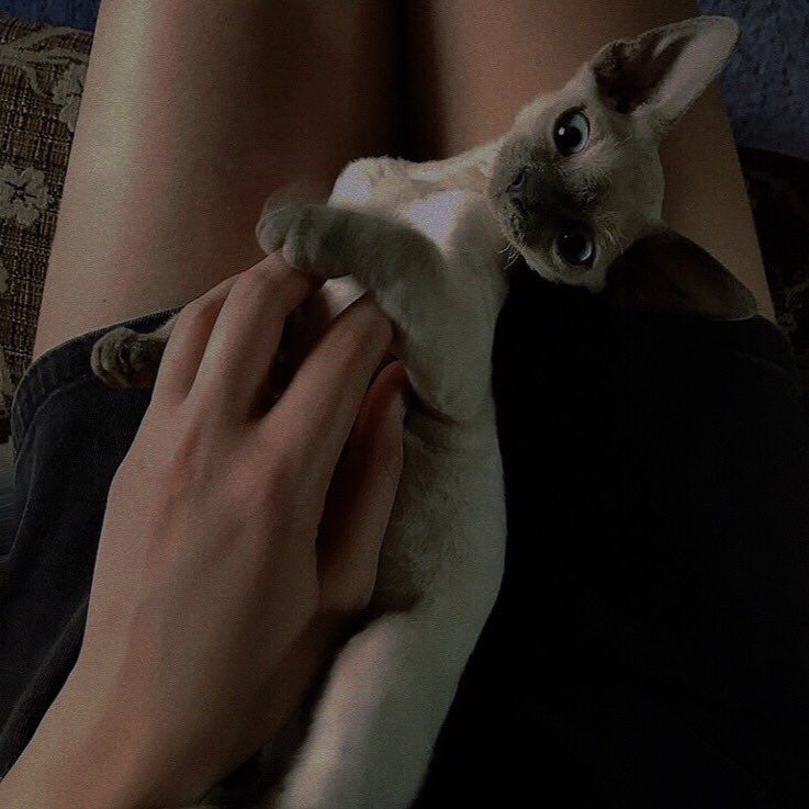 ⠀⠀ ⠀⠀
✂︎........

⠀⠀ ⠀⠀ ⠀⠀ ⠀⠀⠀⠀ 🐾𓃠

⠀⠀ ⠀⠀