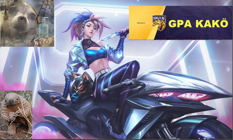 taira_esports's tweet photo. Y tenemos nuestro nuevo MVP el creador del twitter @maicolcaco https://t.co/C0z2Xn3vfj