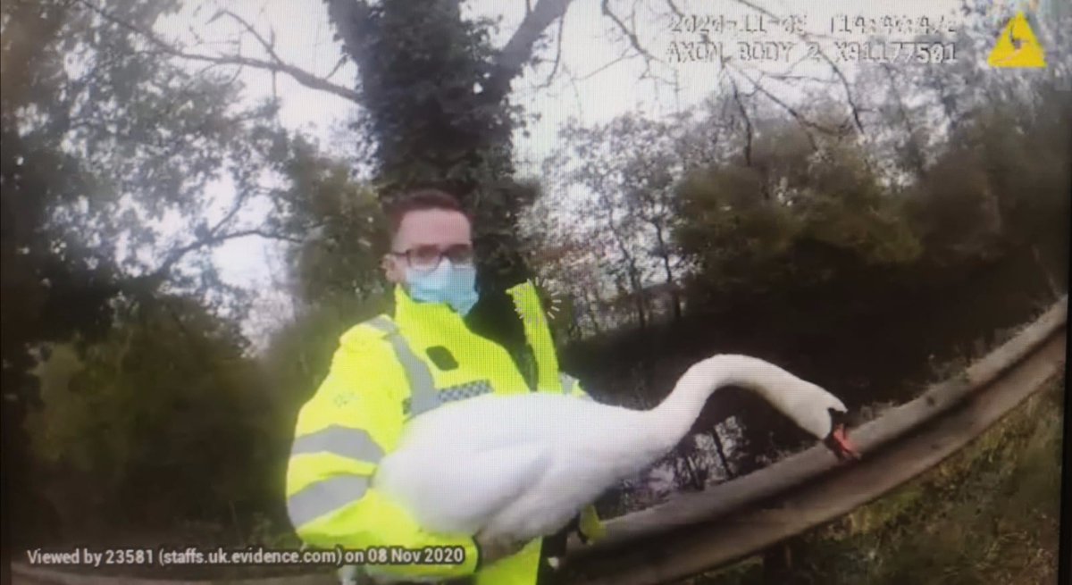 LichfieldPolice's tweet photo. #SCRyan #Lichfield @StaffsSpecials was swanning about today in Lichfield. The 'prisoner' was released into the local canal with words of advice not to have a nap in lane 2 of the A38! Great support as always π€£ #OneTeam #BirdWhisperer #WheresMyMate #LaughingInTheCar https://t.co/bVFbllEbiF
