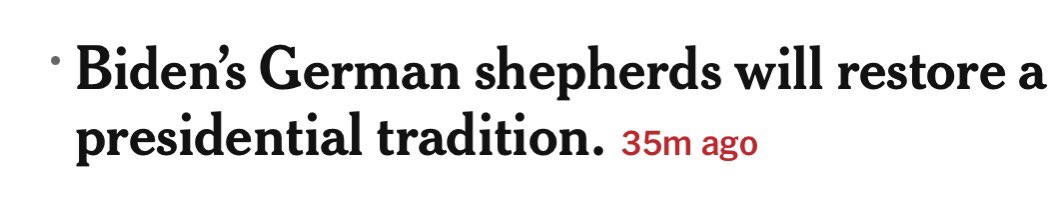 Emily Hamilton tweet media