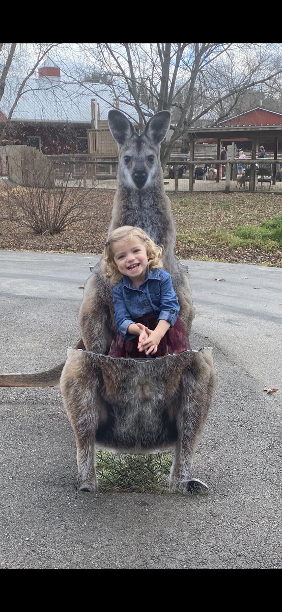cortschmidt's tweet photo. Took advantage of this beautiful day with a spur of the moment trip to the zoo after church! #shekeptaskingforcows https://t.co/ao9uDL6kxn