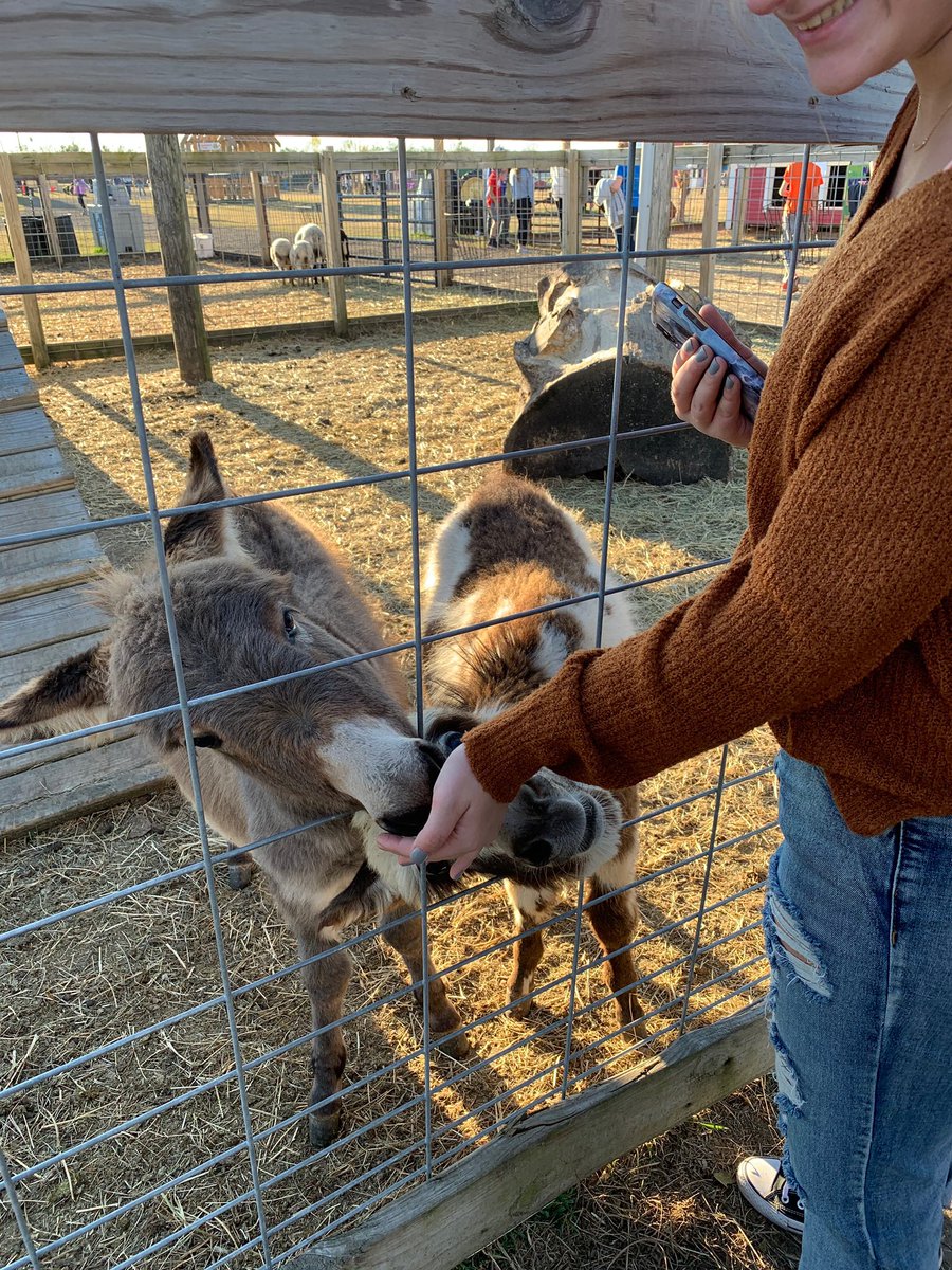 Cary-Grove Cheer tweet media