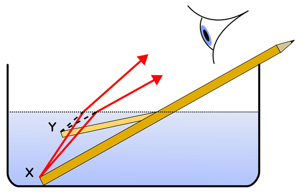 The reason why it looks “broken” is simply because light rays (they’re not really “rays” but never mind) change course when they move in or out of the water (see drawing). Greek philosophers had already understood this, but they couldn’t solve two mysteries!