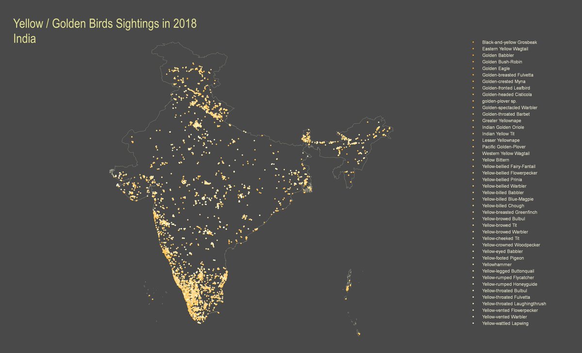 Sharkteeth11's tweet photo. #30DayMapChallenge Day 8 #Yellow

Sightings of yellow/golden birds in India, in 2018

Data - @Team_eBird https://t.co/CGjwGdH688