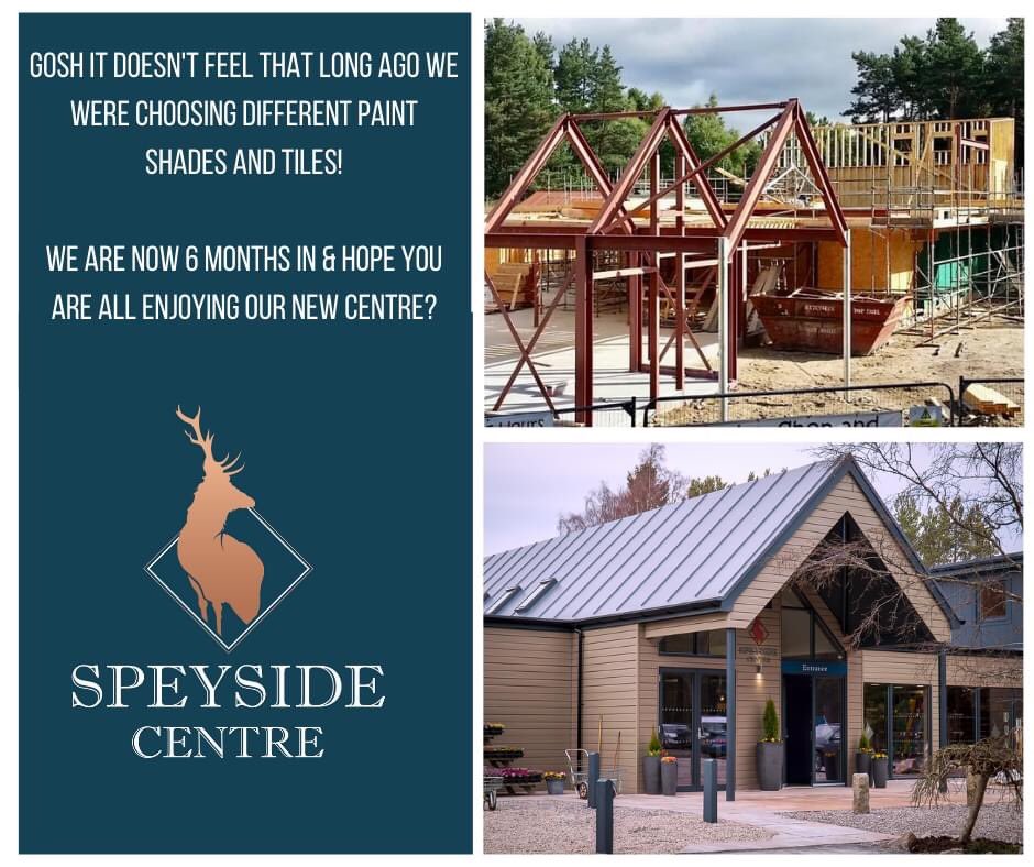 Six months already, thank you all for your support 😊😊😊