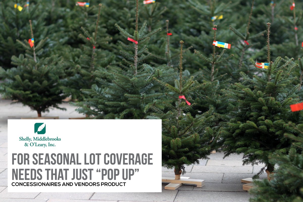 Shellyins's tweet photo. Soon you will see Christmas Tree Lots and holiday kiosks lighting up everywhere. Why not give the gift of a competitive insurance package for these seasonal risks? Call 855-734-5541 for an instant phone quote. #SMO #USLI #InstantPhoneQuote #ChristmasTreeLots #Insurance https://t.co/wamSBWbCiS