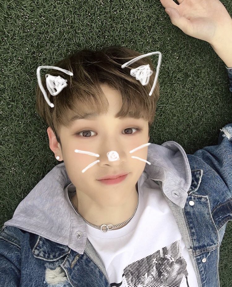 🐱