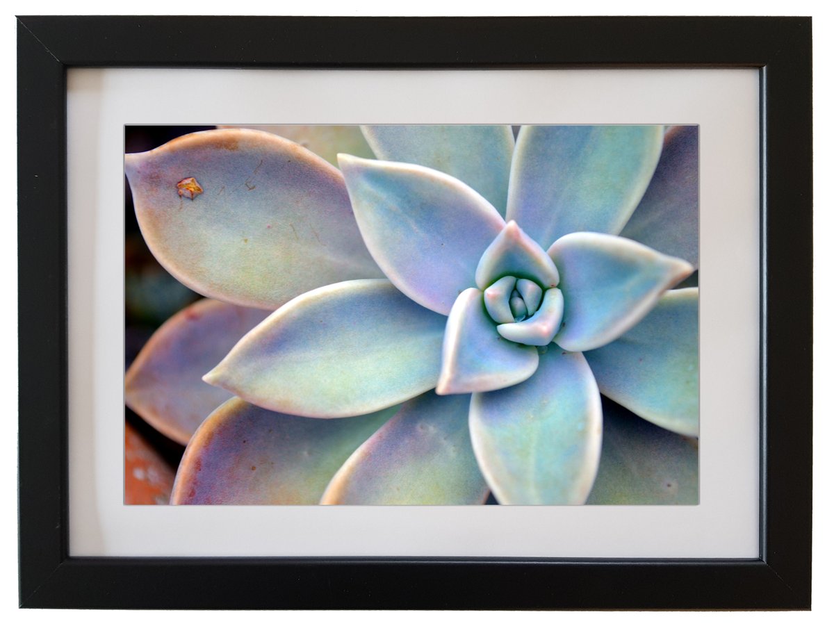 sandykelly2016's tweet photo. I'm offering a discount! https://t.co/DhbfDJihn0 via @Etsy https://t.co/N2a57KXEKL