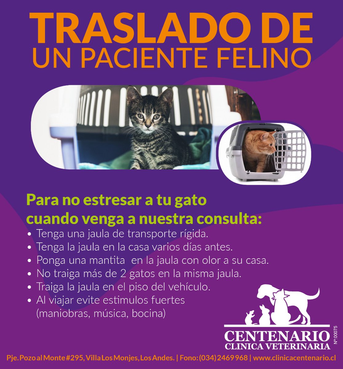 vetcentenario's tweet photo. https://t.co/0d04sQMgIG
