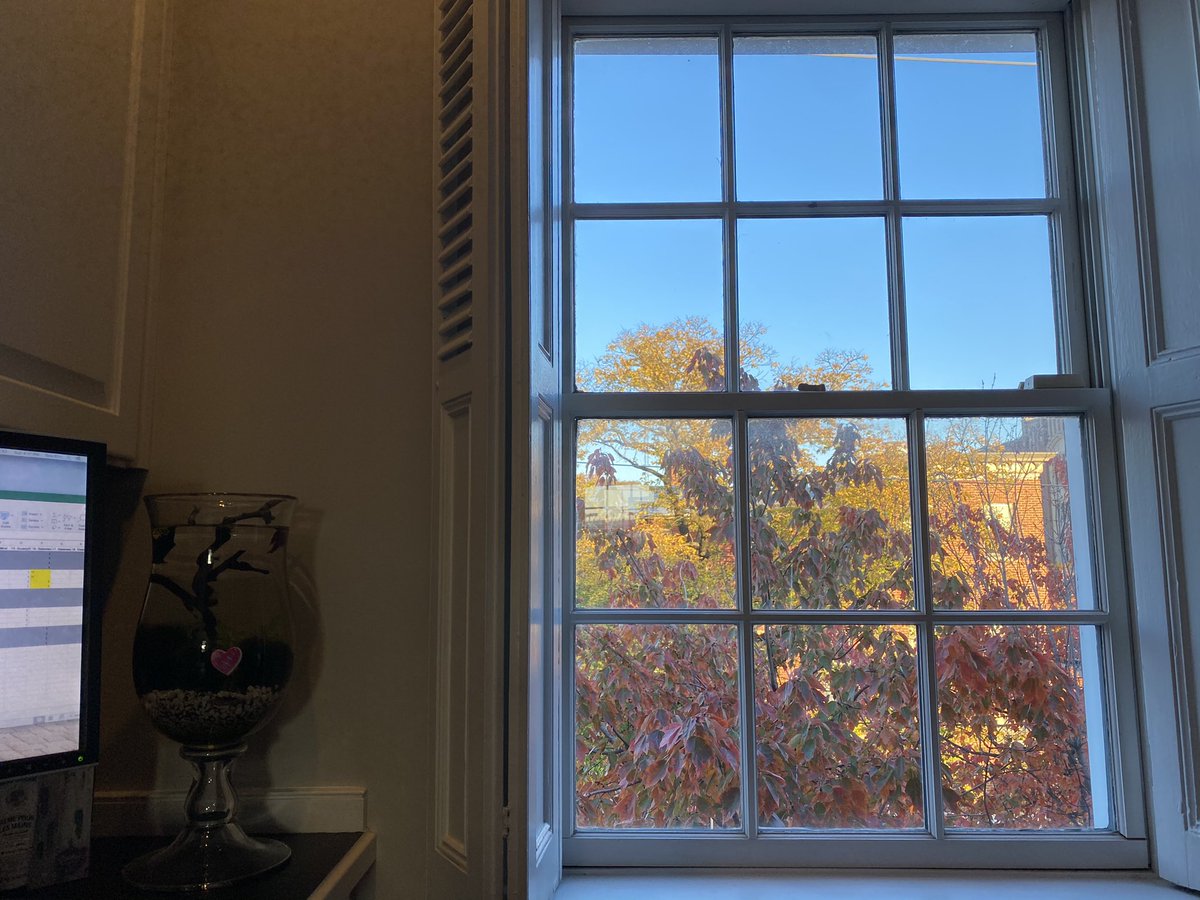 skirkell's tweet photo. When I started working in my spare bedroom, these branches were bare. They flowered, grew leaves and are now red. All that time and the pandemic is worse than ever. If we don’t start taking common sense measure to stop the spread this winter will be terrible. https://t.co/oDBgjfyxSZ