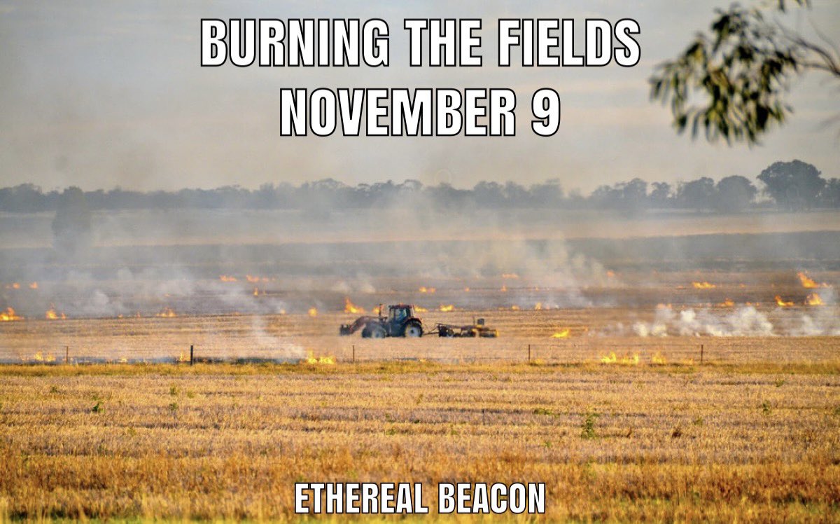 EtherealBeacon's tweet photo. https://t.co/a2l1FuvQQn