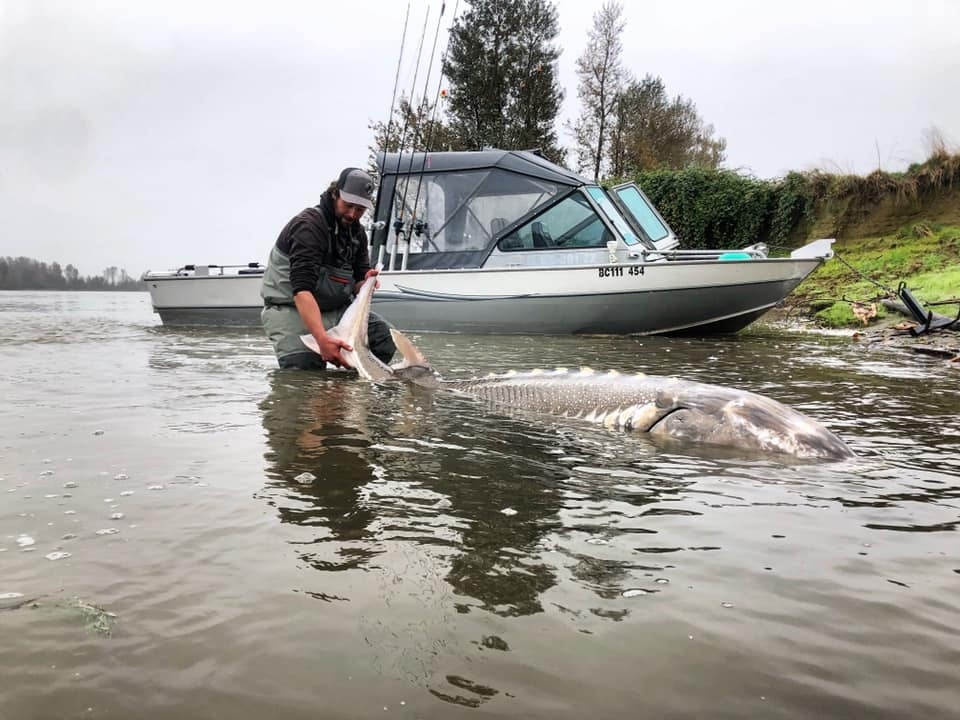 Gibbs-Delta Tackle tweet media