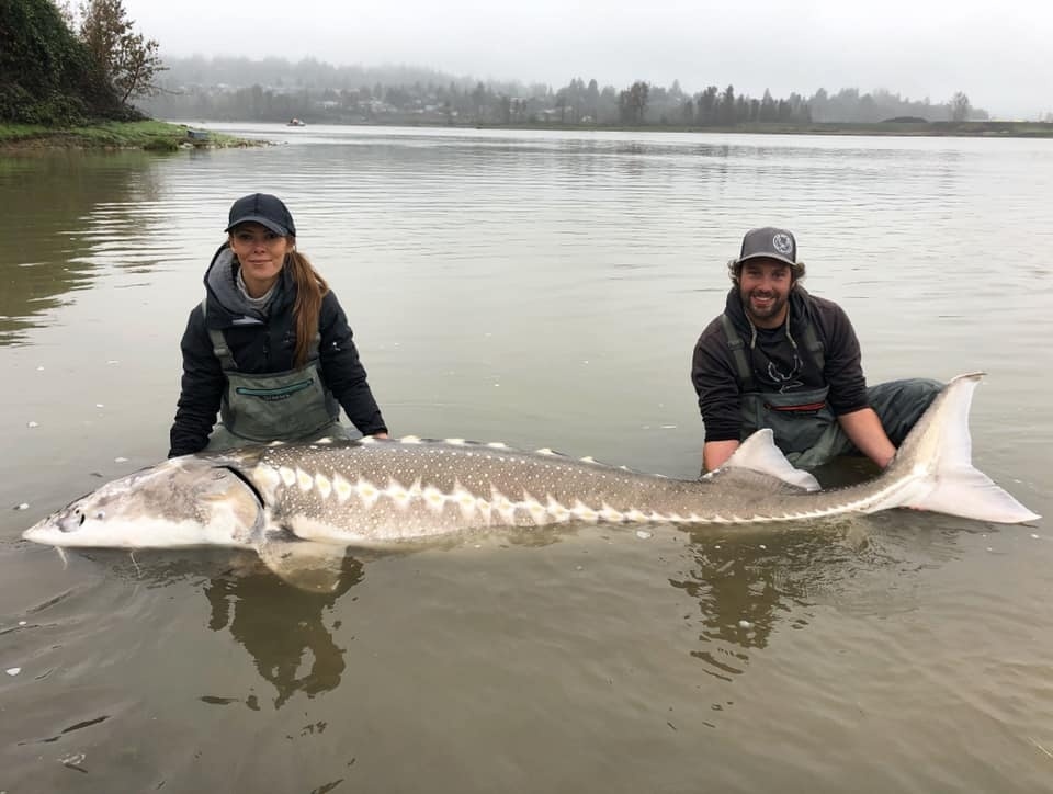 Gibbs-Delta Tackle tweet media