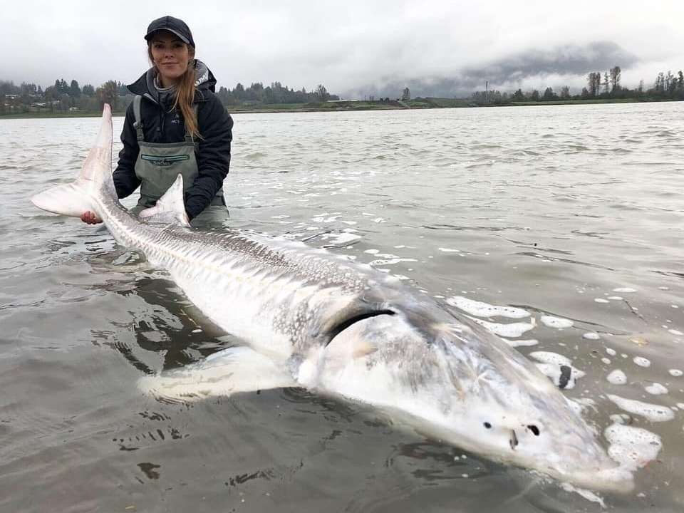 GD Team member Clayton Fletcher taking a break from the salt water to give the arms a good workout with some Fraser River Dino's. Sometimes its nice to switch things up a bit and experience new fisheries! A great trip out with fiance Stevie for an October birthday celebration.