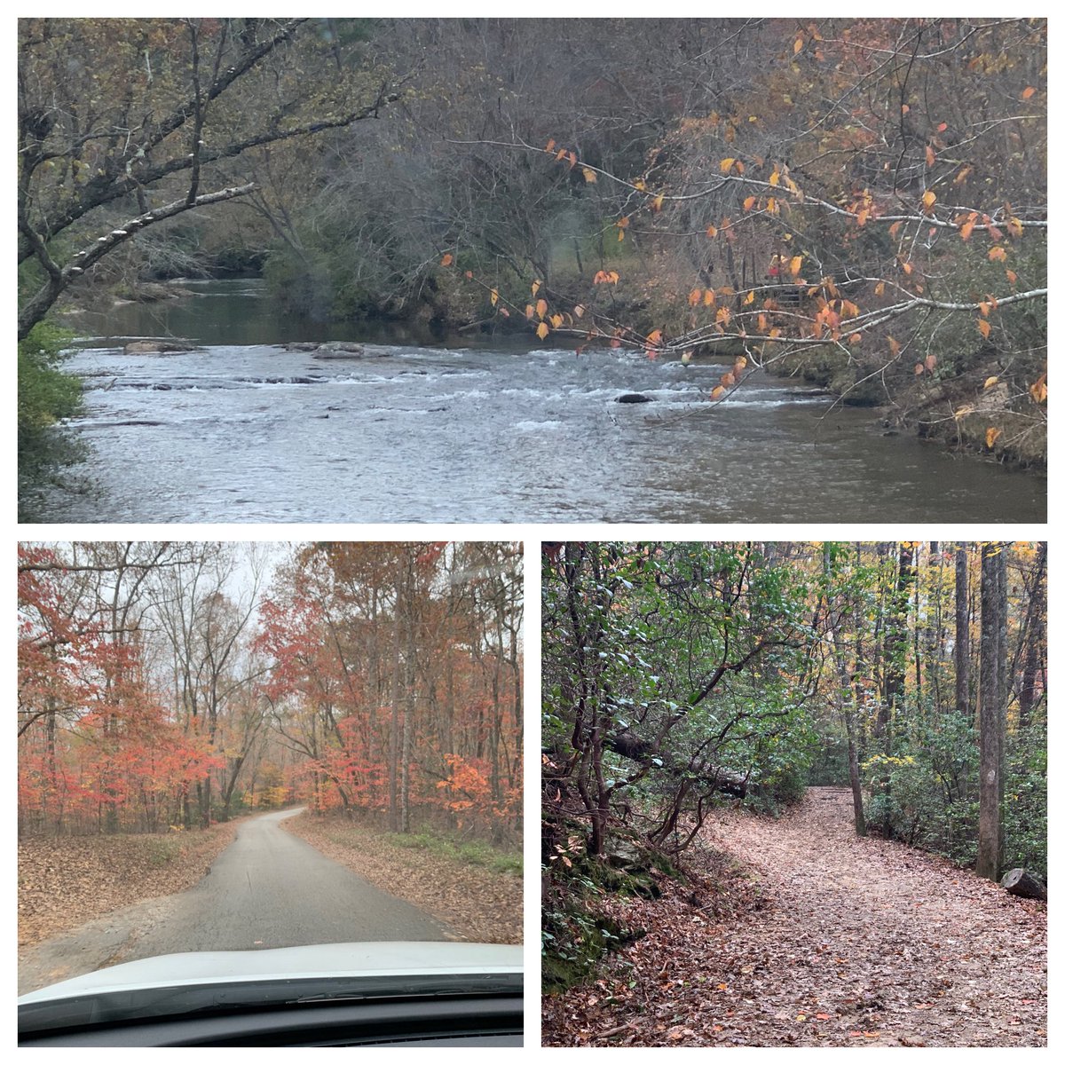 Jessbdale's tweet photo. Sometimes you take all the back roads home: Clayton to Lake Burton to Helen to Dahlonega to Dawsonville and I could post a hundred pictures. Winding roads means perfect nap for Crofton #fallinthemountains #twohoursofquiet https://t.co/7c9ZZRTycW