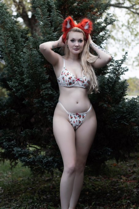 Do you like the front or the back view better? 🦊 https://t.co/WUmnjEbOQ3