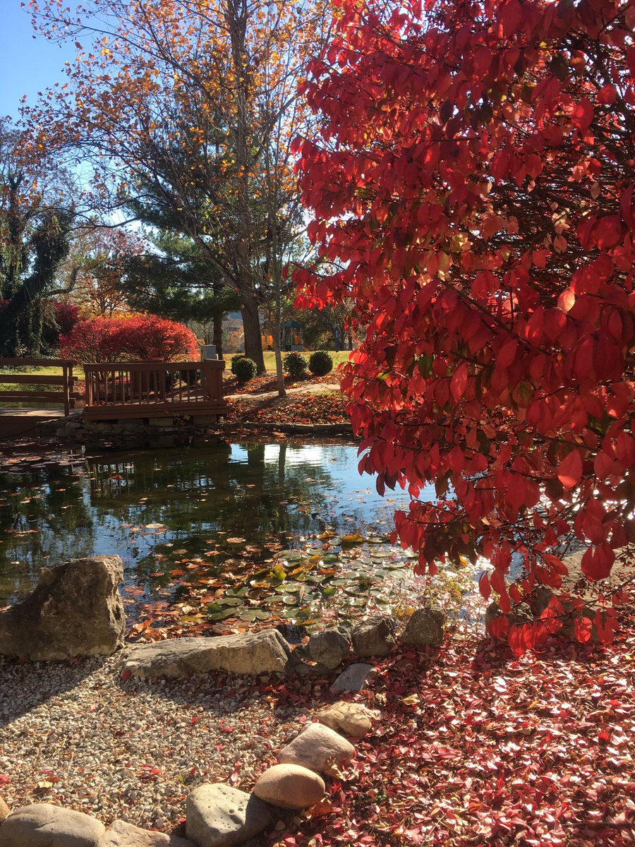 SFCHousekeeping tweet media