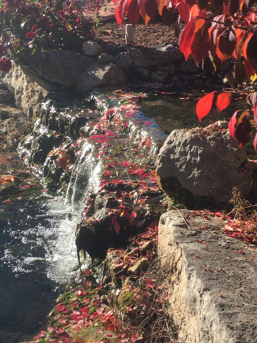 SFCHousekeeping tweet media