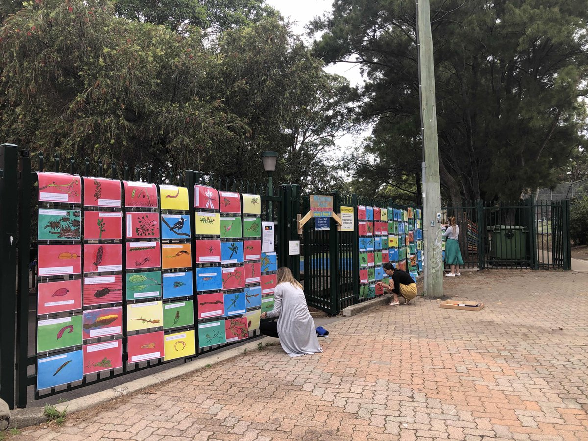 newtown_ps's tweet photo. All hands were on deck this morning getting students work up in an outdoor gallery to celebrate @naidocweek at the commencement of our Festival of Creativity #festivalofcreativity2020 #NSWeducation #pathwaystoreconciliation #NPScreativity #schoolstage2020 @NSWEducation https://t.co/LbOvQxWpea
