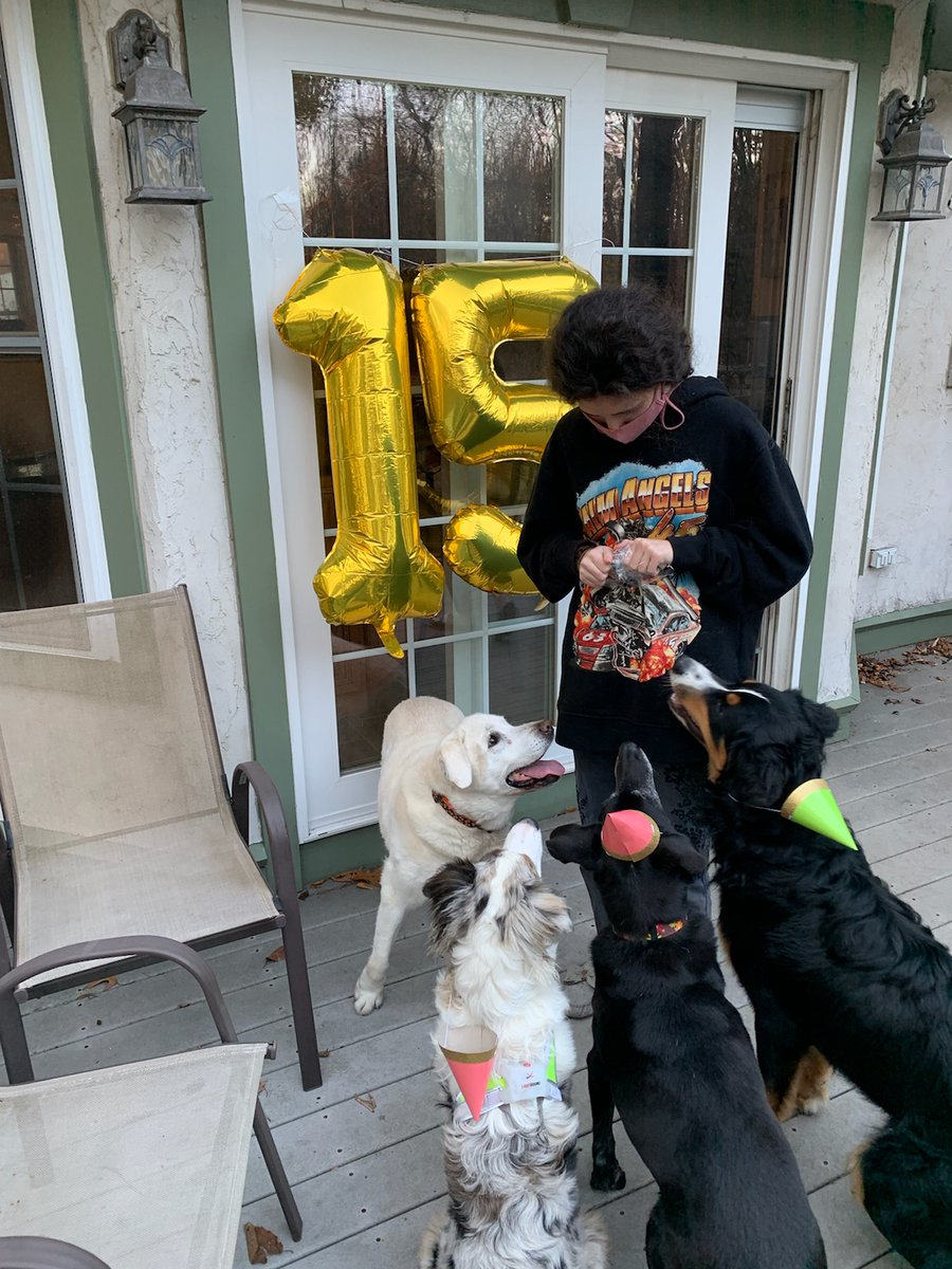 eats_rob's tweet photo. Even the Shapiro dogs love to eat. Happy birthday to the glamorous Ms. Lola!! @robshap444 threw her a wonderful party with all of her best friends. Obviously, 15/10 @dog_rates, right? https://t.co/d7S6SmlXfl