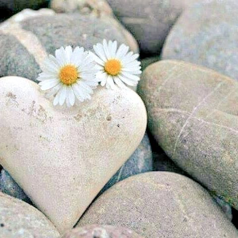 Bismillâhirrahmânirrahîm

Yüreğin. de sıdk olan" 
ihvan. lar..
Rabbim hayra çavirsin.
Geceniz.i..!🖤.!.

    AMİN ECMAİN