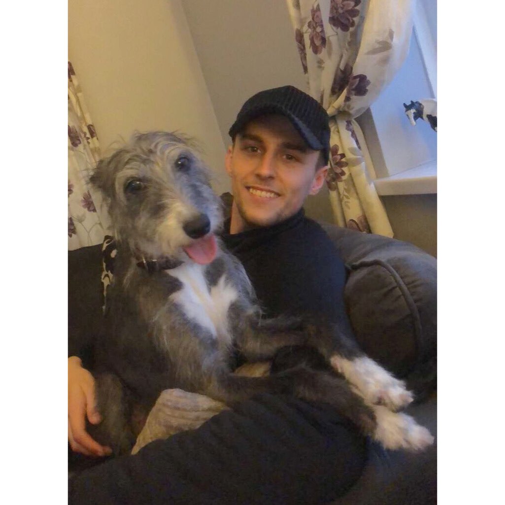 mafyu_'s tweet photo. my baby 🐕 https://t.co/SbtjwejwDP