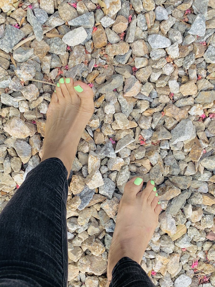 BankonKatie's tweet photo. My toes love HARD things 👅���👅 #onlyfans #footfetish #footslave #hardthings https://t.co/TPbDpjHwMN https://t.co/gxIIzGozA5