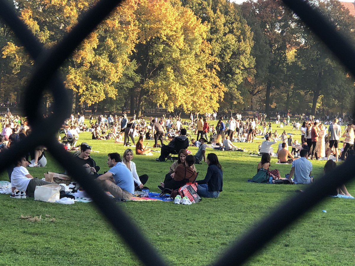 Central Park, NYCNovember 8, 2020A thread.