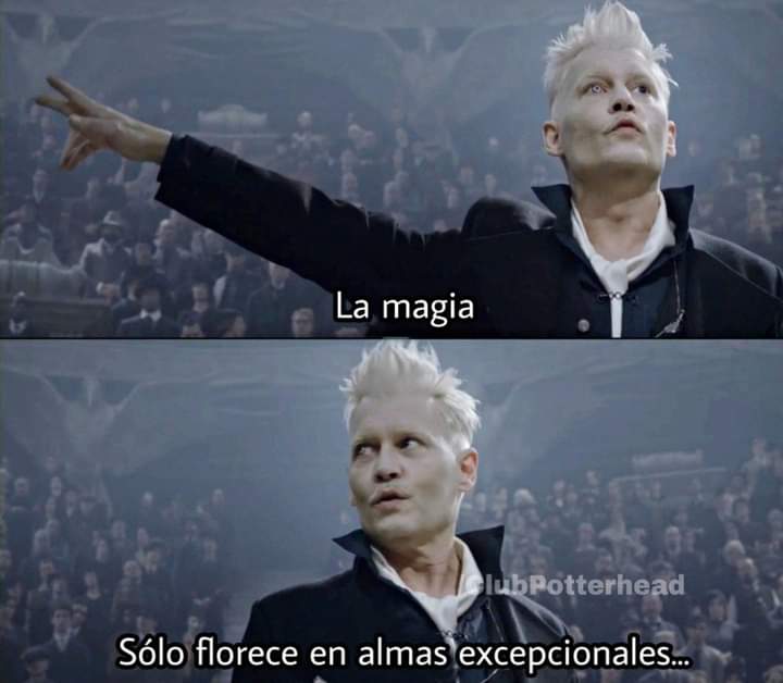 #JusticeForJohnnyDepp
#NoJohnnyNoPirates  #NoJohnnyNoFantasticBeasts   
#JohnnyDeppIsMyGrindelwald
#WarnerBrosIsOverParty #NoJohnnyNoFantasticBeasts
#AmberHearsIsOverParty
#JusticeForAll 
#thesunisoverparty
#DisneyIsOverParty