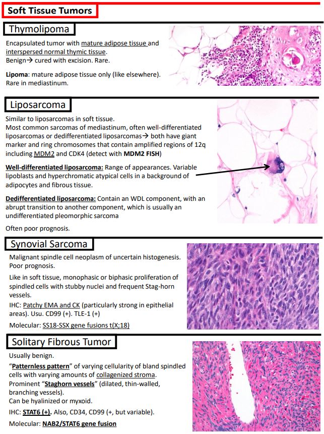 I completed my notes of "Tumors of the Mediastinum" for my notes website "Kurt's Notes" (kurtsnotes.net).

Full notes here: schaberg.faculty.ucdavis.edu/wp-content/upl…

#PathTwitter #KurtsNotes