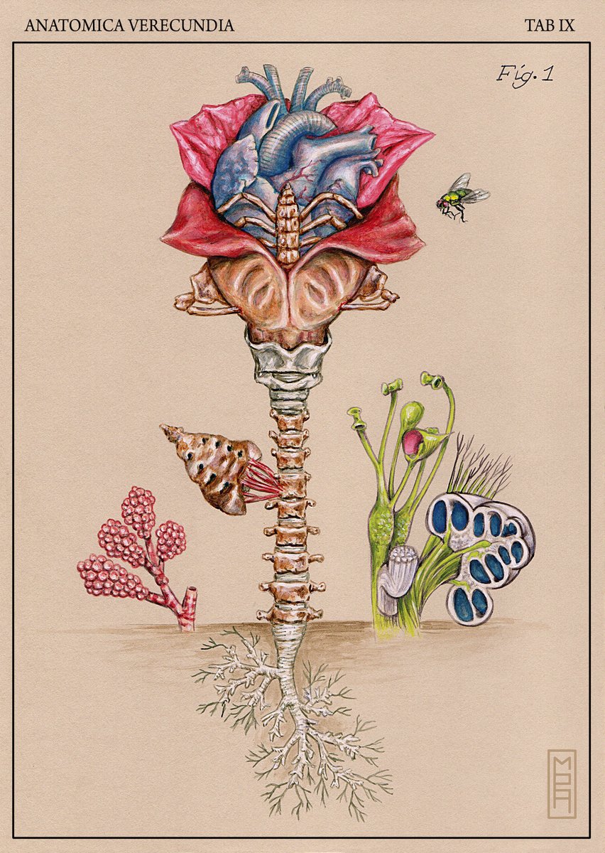 Midleart's tweet photo. Participation au #globidessin pour @globtopus
Thème, fleur - cadavre - cœur. 
 #paintings #anatomicalstudy #acrylique https://t.co/IGZrhpZ5w5