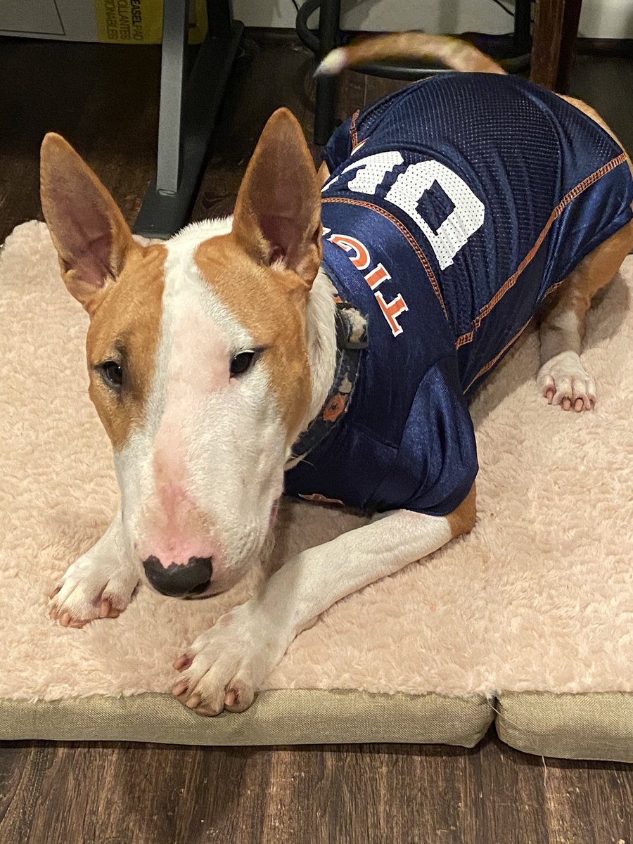 Marc Tillis tweet media