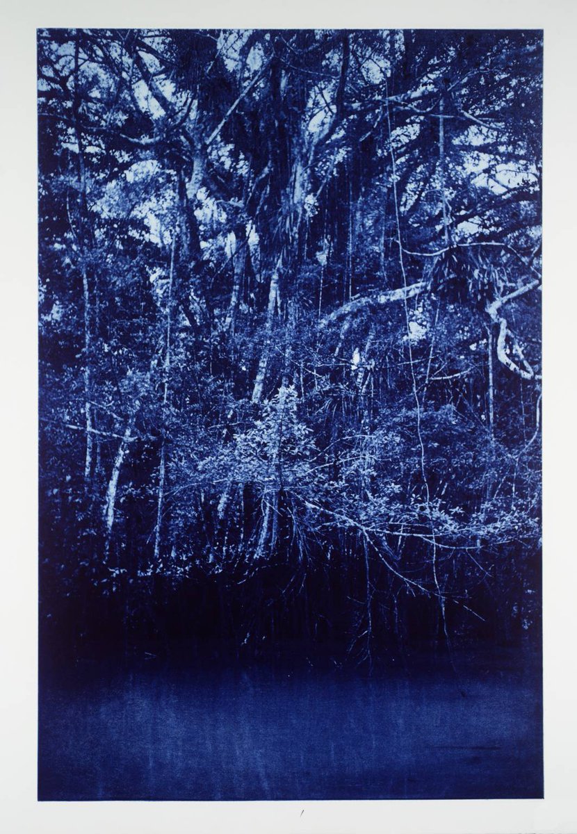 TateArtBot's tweet photo. Amazon, Peru, 1988, Helmut Federle, 1999 https://t.co/dcwKdRthnw #tate #helmutfederle https://t.co/uPT6FV7w7I