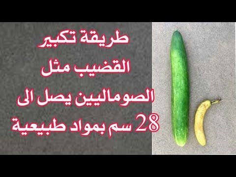 cxdhbh's tweet photo. #ًزُاَنُ_ًاٌلُجًوَ_ًوٌيُنًقَصًهُ
#ُحًلَيًمٌهُ_ًاَلًقٌحُطًاَنًيٌ_ُكًاَنً_ٌحُلًمَ
🍁تكبير القضيب

🍁زَياَدة وشدّة الانتَصَاب

🍁تَاخير القَذف

🍁للطلب عبر الواتسآب باول تعليق

سكٌس_ديوٌث_محاٌرم_ورٌعان_قحٌبة_ممٌحونه_كلٌبه اغتصٌاب_فحٌل_زنٌا كٌتابي_فاٌجره_عٌاهره_لٌيز ديٌاثة مٌسعبل https://t.co/ILr1Uvtapj
