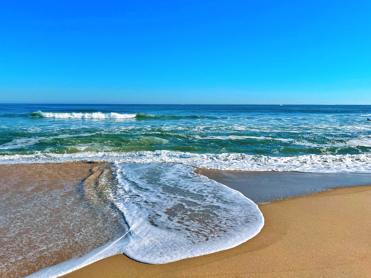 ᴉllǝsoɹ qoɹ tweet media