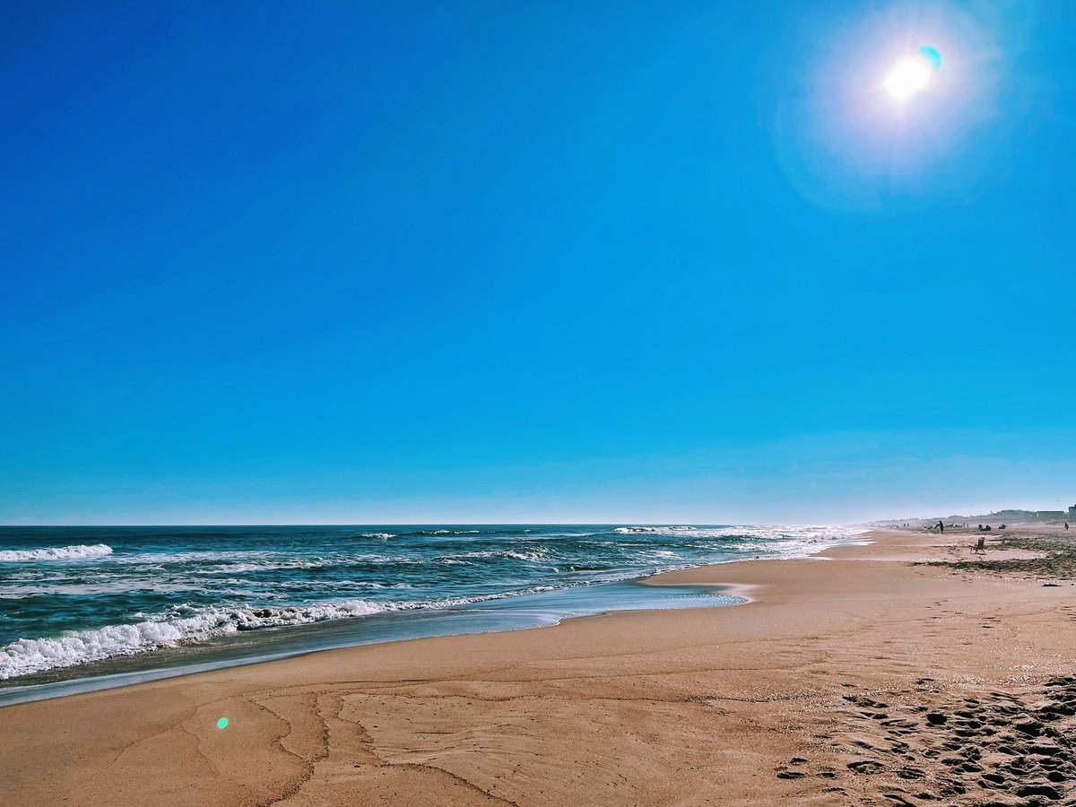 ᴉllǝsoɹ qoɹ tweet media