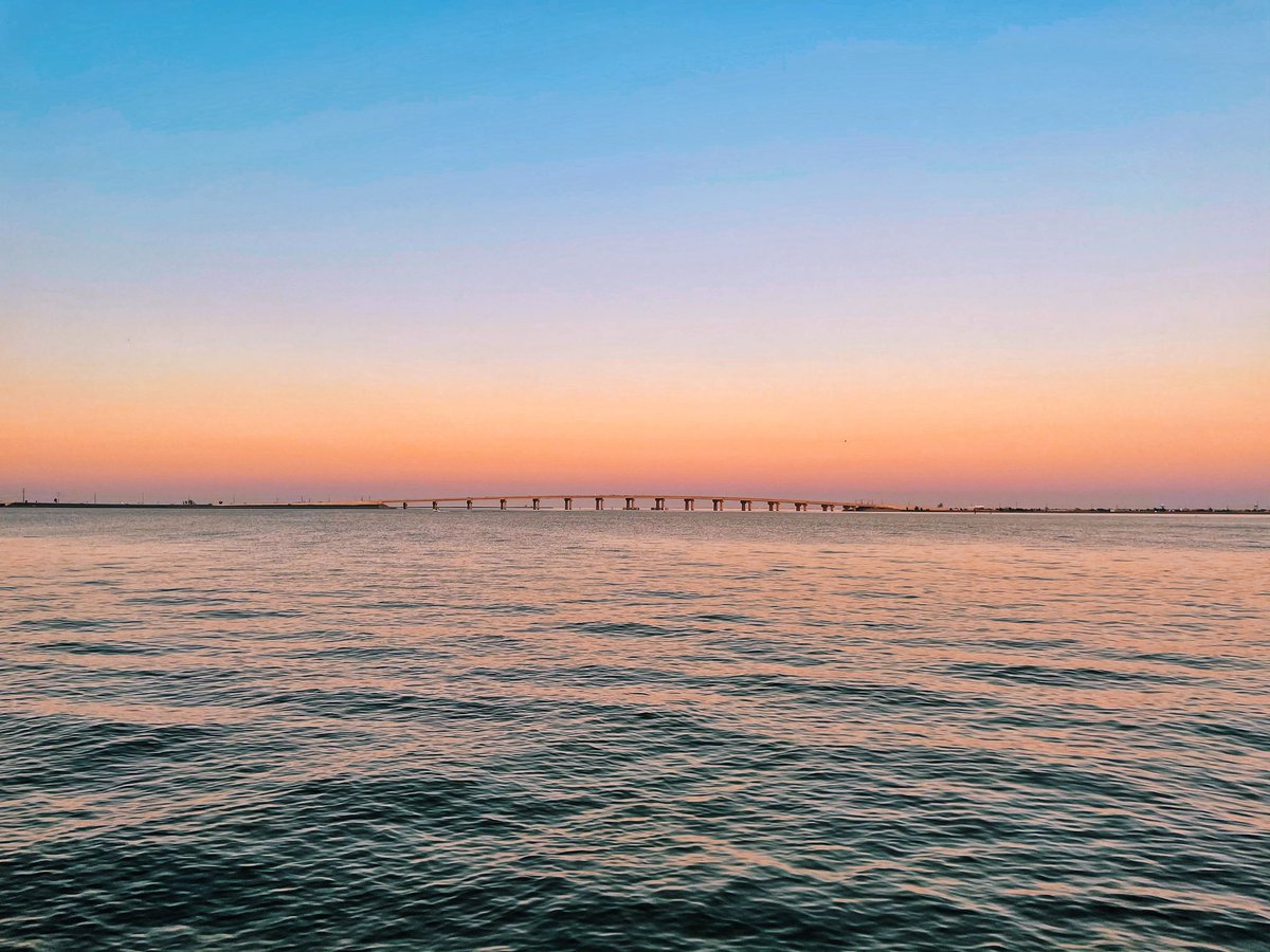 ᴉllǝsoɹ qoɹ tweet media