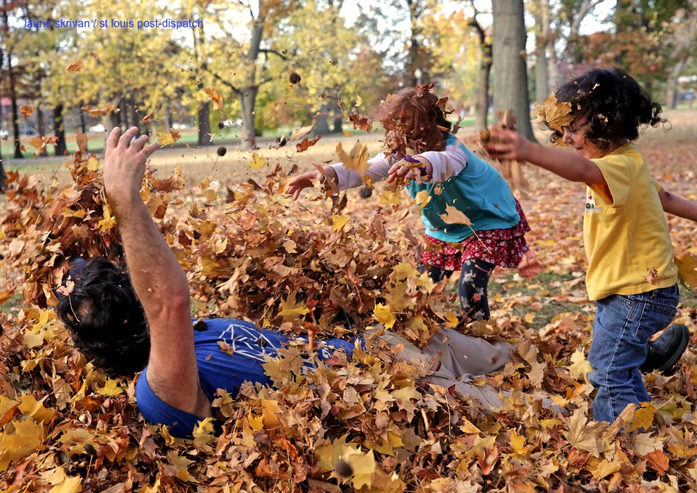 LaurieSkrivan's tweet image. Jonathan Danieley wrestles with his children Teddy, 4, and Ruby,8, as his oldest daughter Lucy, 9, continues to bury him in leaves on Sunday, Nov. 8, 2020, @TowerGrovePark  Grove Park. #stlwx #Fall #Leafpile
