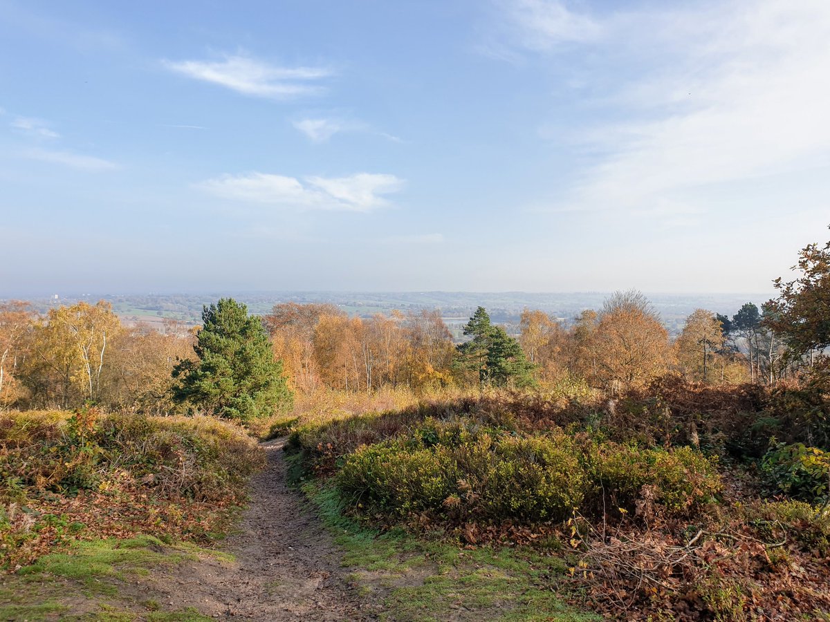 MyBikeAdventure's tweet photo. #MatchTheMiles Get High β
There were a few high points on my route, beautiful views over Birmingham from Waseley Hills, Frankley and Lickeysππ²π #GreenerBrum https://t.co/nHsavXqIsg