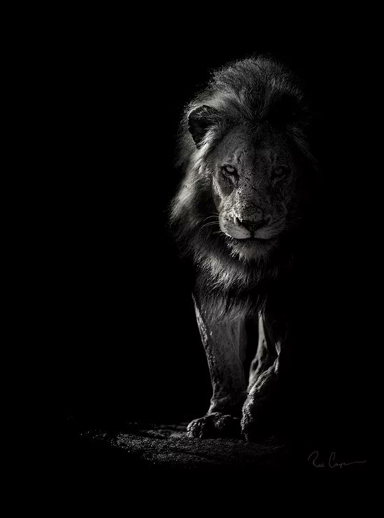 AmineALGRIEN6's tweet photo. #كنوز https://t.co/GuM0ZI7v1H