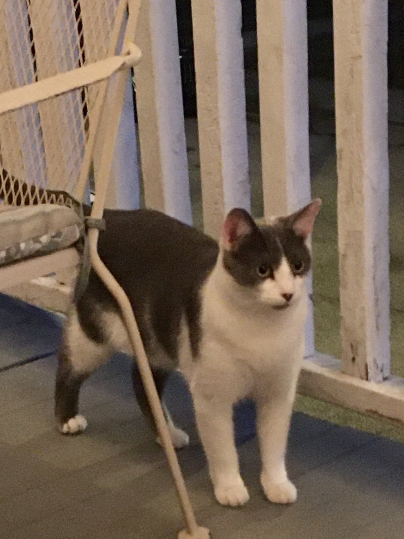 BMeowfield's tweet photo. My brother Myles is an UGLY dude. https://t.co/0KLAF6yZTP