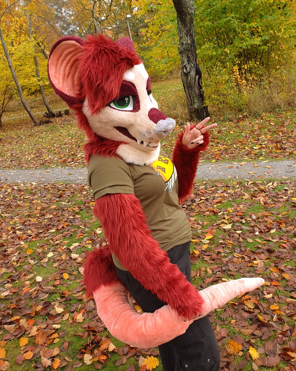 pic Opossum Fursuit For Sale fursuitpartial hashtag on twitter