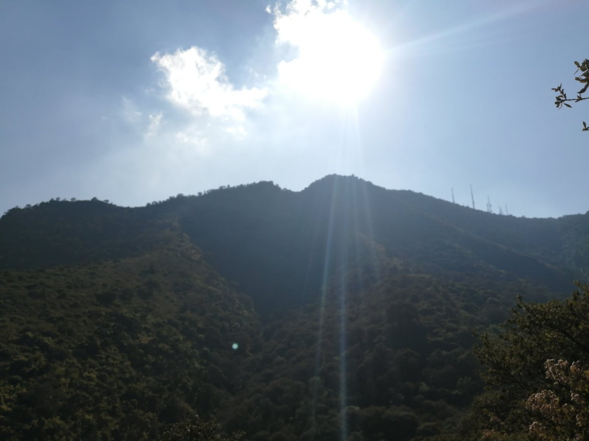 deyani0715's tweet photo. #YoElegíCorrer 20k estuvo pesado pero se logró 🤪⛰️🏃🏻‍♀️⛰️🏃🏻‍♀️⛰️🏃🏻‍♀️⛰️🤪 #CorreLibre #MountainRunning #TrailRunning https://t.co/uUOFWmS46x