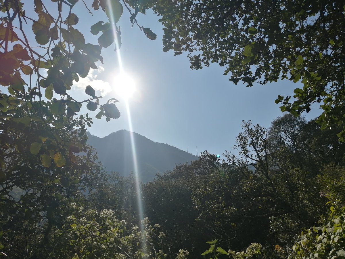 deyani0715's tweet photo. #YoElegíCorrer 20k estuvo pesado pero se logró 🤪⛰️🏃🏻‍♀️⛰️🏃🏻‍♀️⛰️🏃🏻‍♀️⛰️🤪 #CorreLibre #MountainRunning #TrailRunning https://t.co/uUOFWmS46x