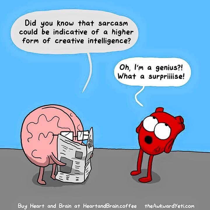 sarcasm is my first language.
.
.
.
#ThisWritersLife #AuthorsOfInstagram #IndieAuthor #IndieAuthorLife #IGAuthorLife #ReadMoreBooks #RomanceWriter #HistoricalRomance #RegencyRomance #BookLovers #SundayFunday #Sunday #SundayLaughs #LOL #Funny #HeartAndBrain @theawkwardyeti