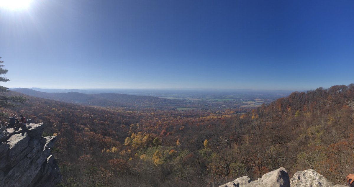 Sarah Bova tweet media