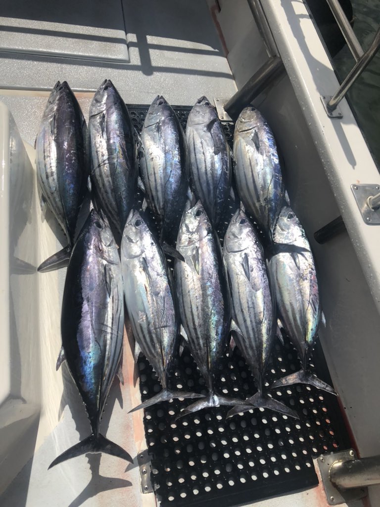 Taylor_Nick_L's tweet image. Productive day