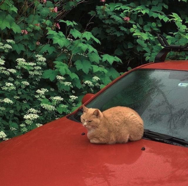 4 kesalahan wanita yg menyebabkan
               —sholat tidak sah—